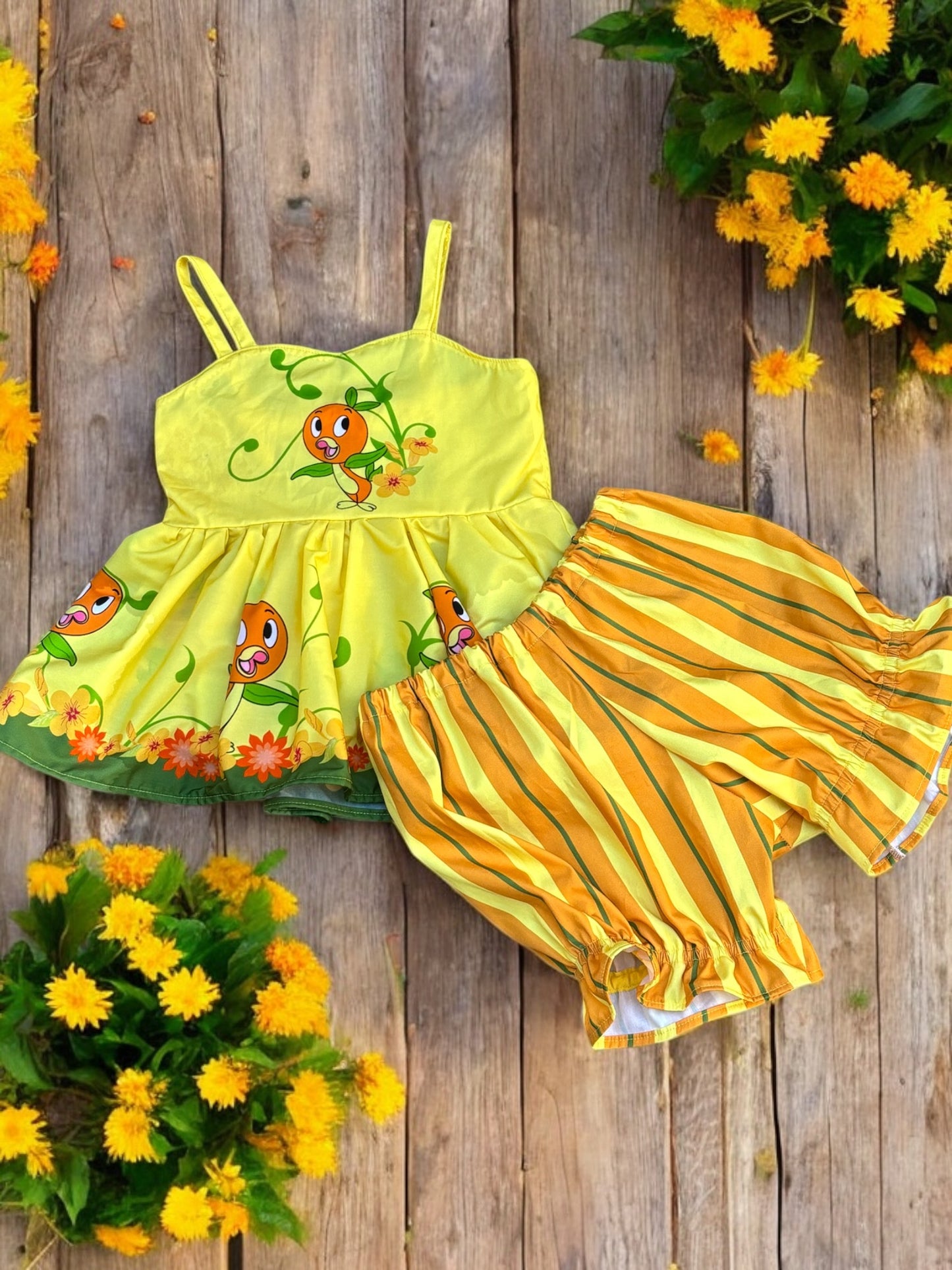 Orange bird 2 piece outfit size 6