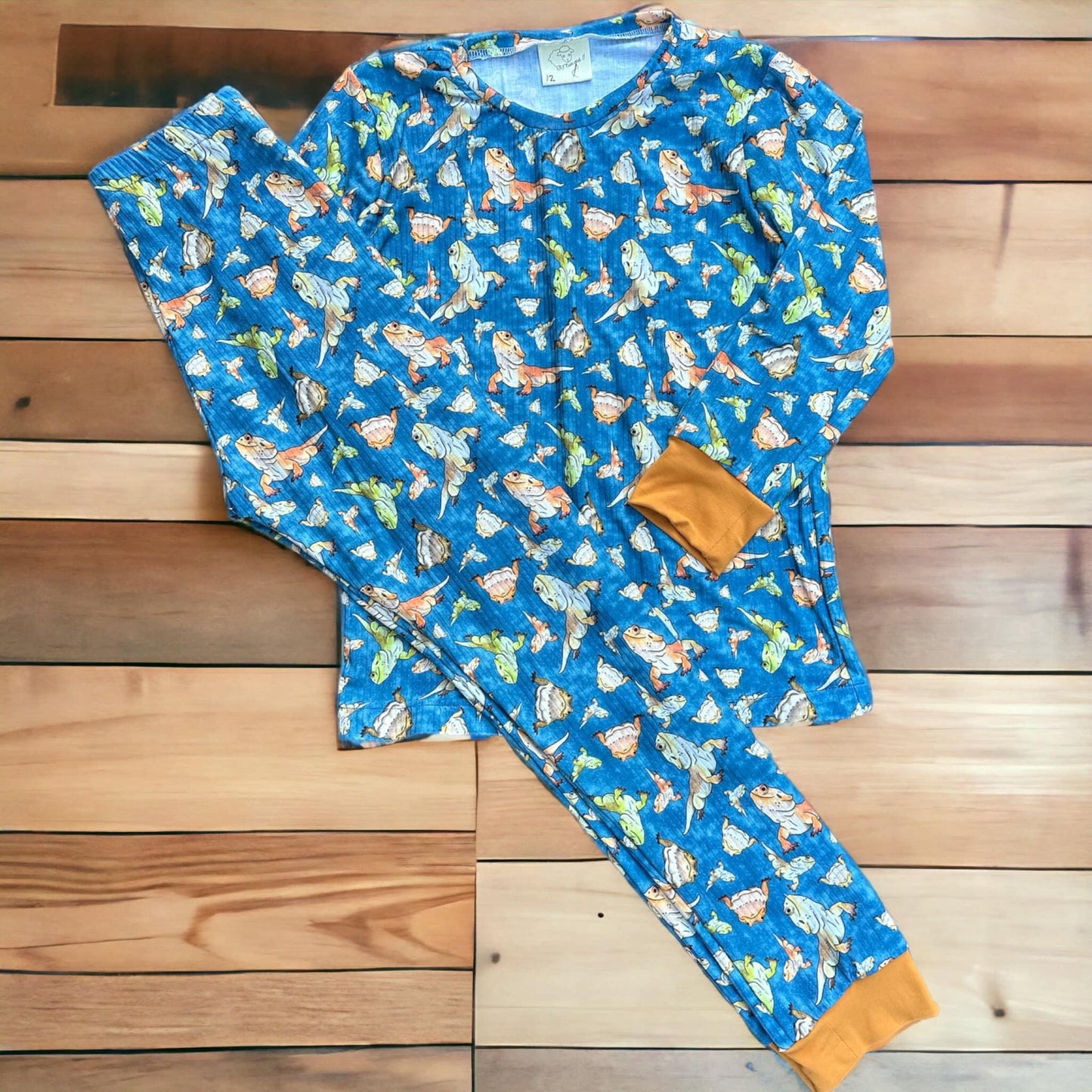 Lizard pajamas size 10/12